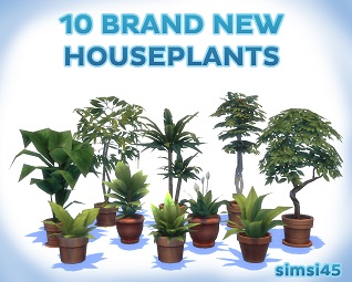 10 Brand New Houseplants créé par Simsi45